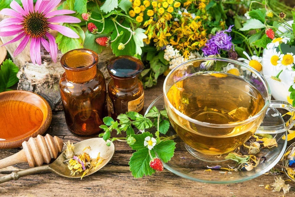 Plants That Promote Health and Personal Power
