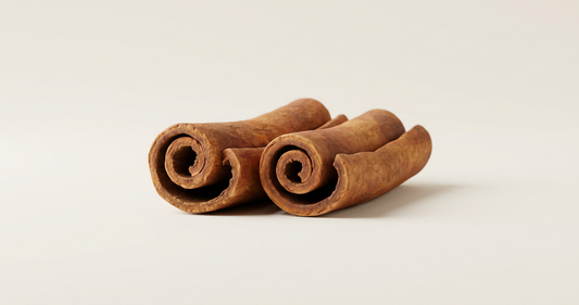 Matte 3D render of curled cinnamon bark sticks in warm amber tones