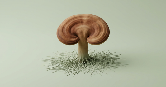 Matte 3D reishi mushroom with mycelium network on sage background