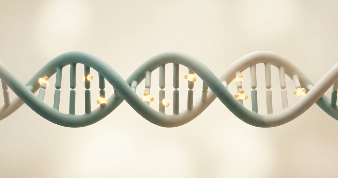 Matte 3D DNA helix with methyl markers in teal and warm gold