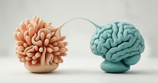 Matte 3D render of gut and brain connected by neural pathway, coral and teal