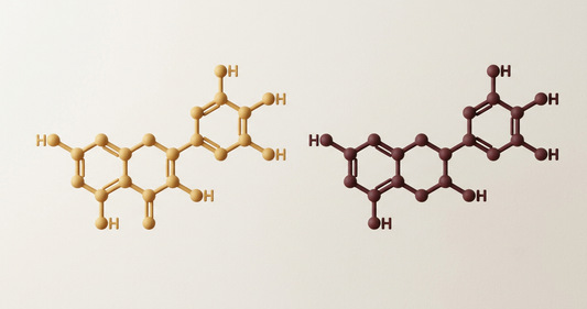 Two matte 3D flavonoid molecular structures in gold and burgundy
