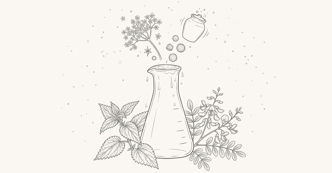 Line-art botanical illustration of an overflowing apothecary vessel with elderflower, pollen, and histamine-modulating herbs