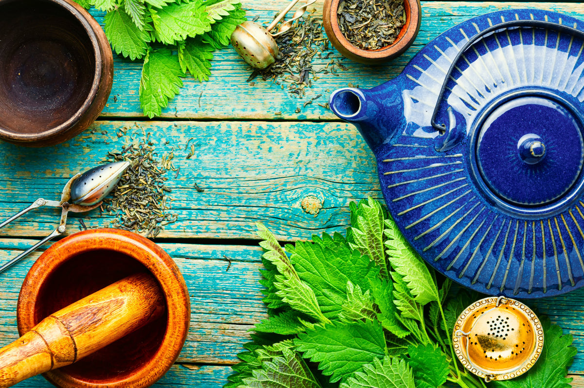Freeze-Dried vs Dried Herbs: Which Retains More Potency? (2026)