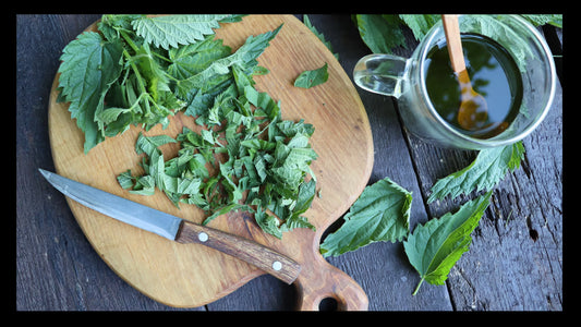 What Are Antihistamines for Allergies and How Do They Work