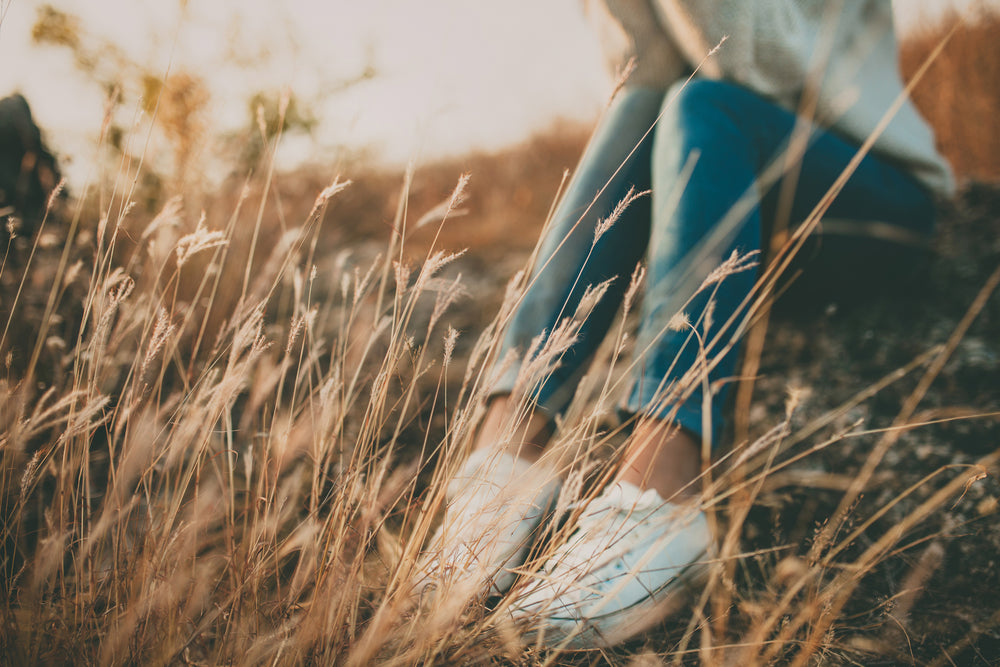 Unlocking the Healing Potential of Siler Root