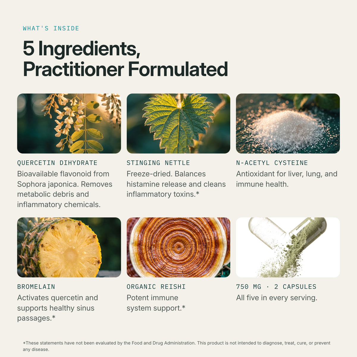 The five Lucidia ingredients: quercetin, stinging nettle, NAC, bromelain and organic reishi, plus an open capsule