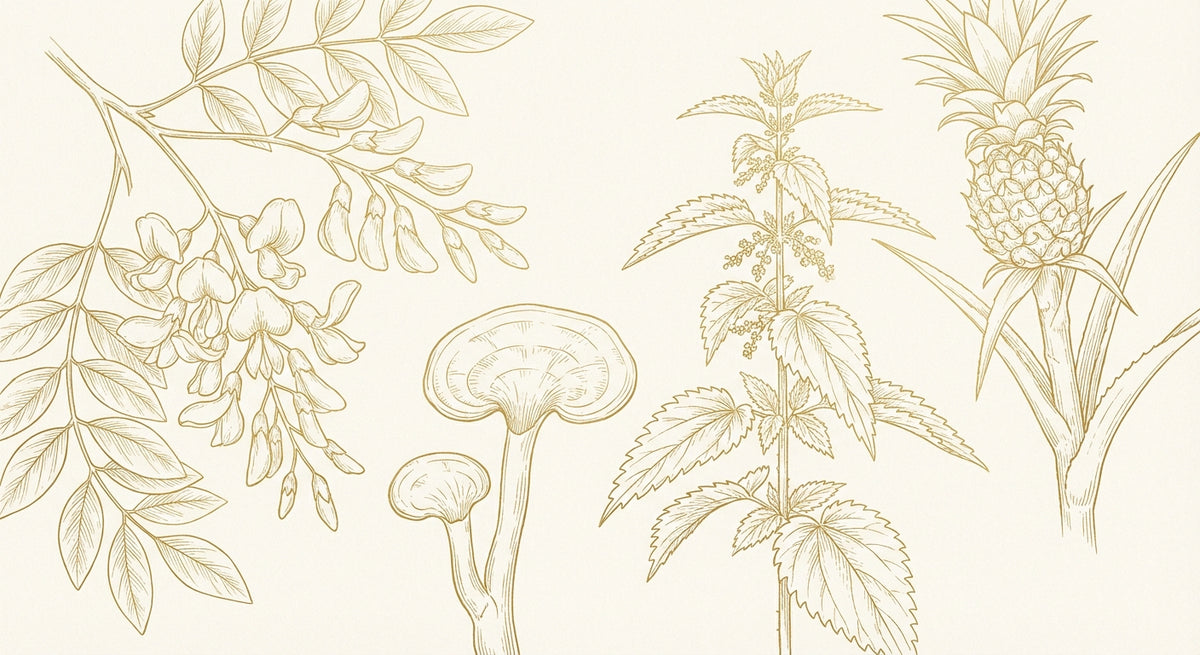 Protocols Hero Botanical