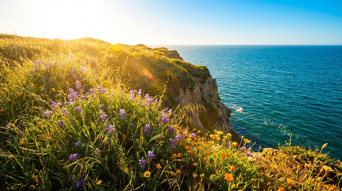 Wildflowers on a sunlit cliff above the ocean